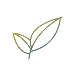 i-Green-Tech-no-border